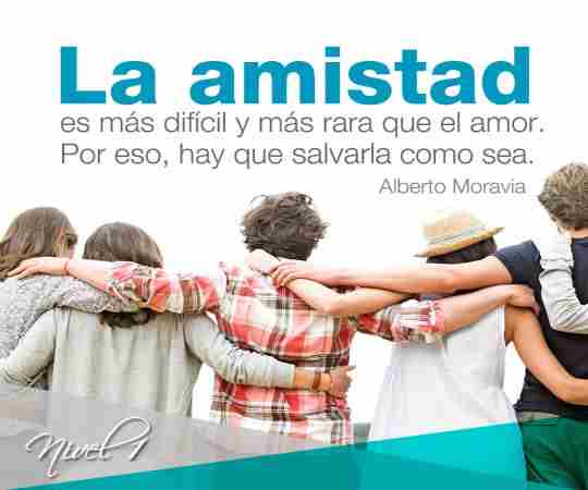 Frases celebres sobre la amistad y los amigos Frases celebres sobre la amistad y los amigos