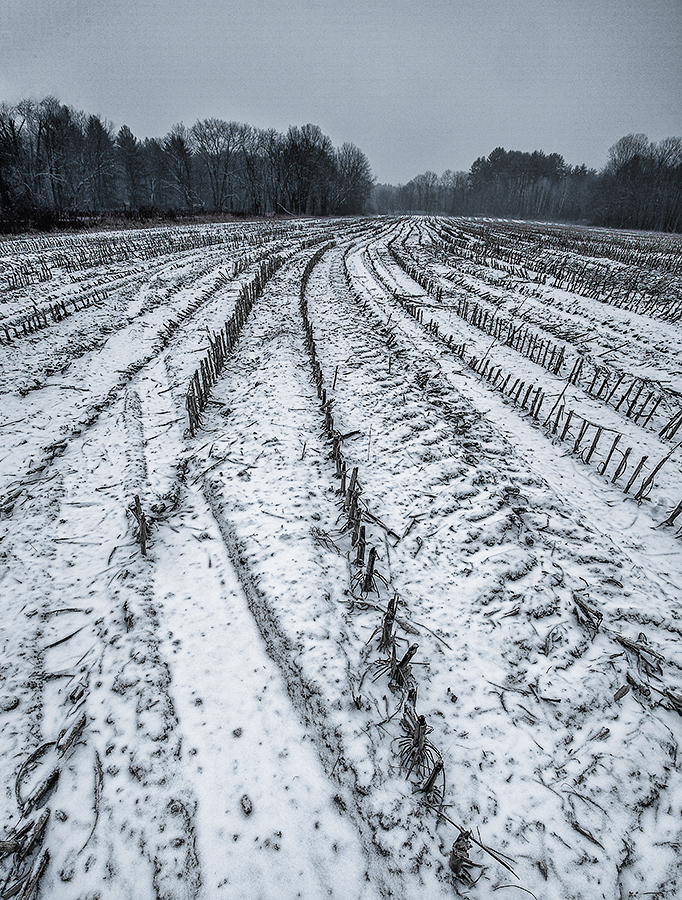 At Home in Henniker First Snow