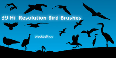 Hi-Res Bird Brushes