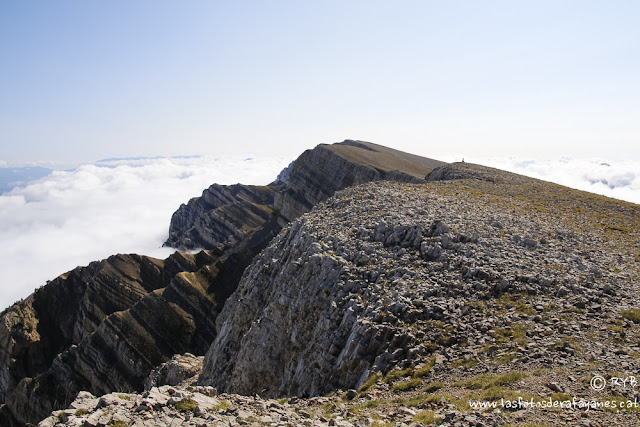 Ruta: Torreta de Cadi (2.562 m.) y Vulturó (2.649 m.). Un paseo por las nubes. (Els 100 Cims). 