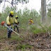 PREVENÇÃO - Governo avisa que limpeza de terrenos tem de ser feita até maio
