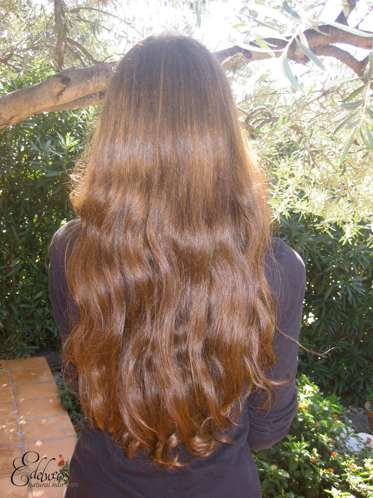 Coloration henne blond fonce – Coiffures à la mode de 