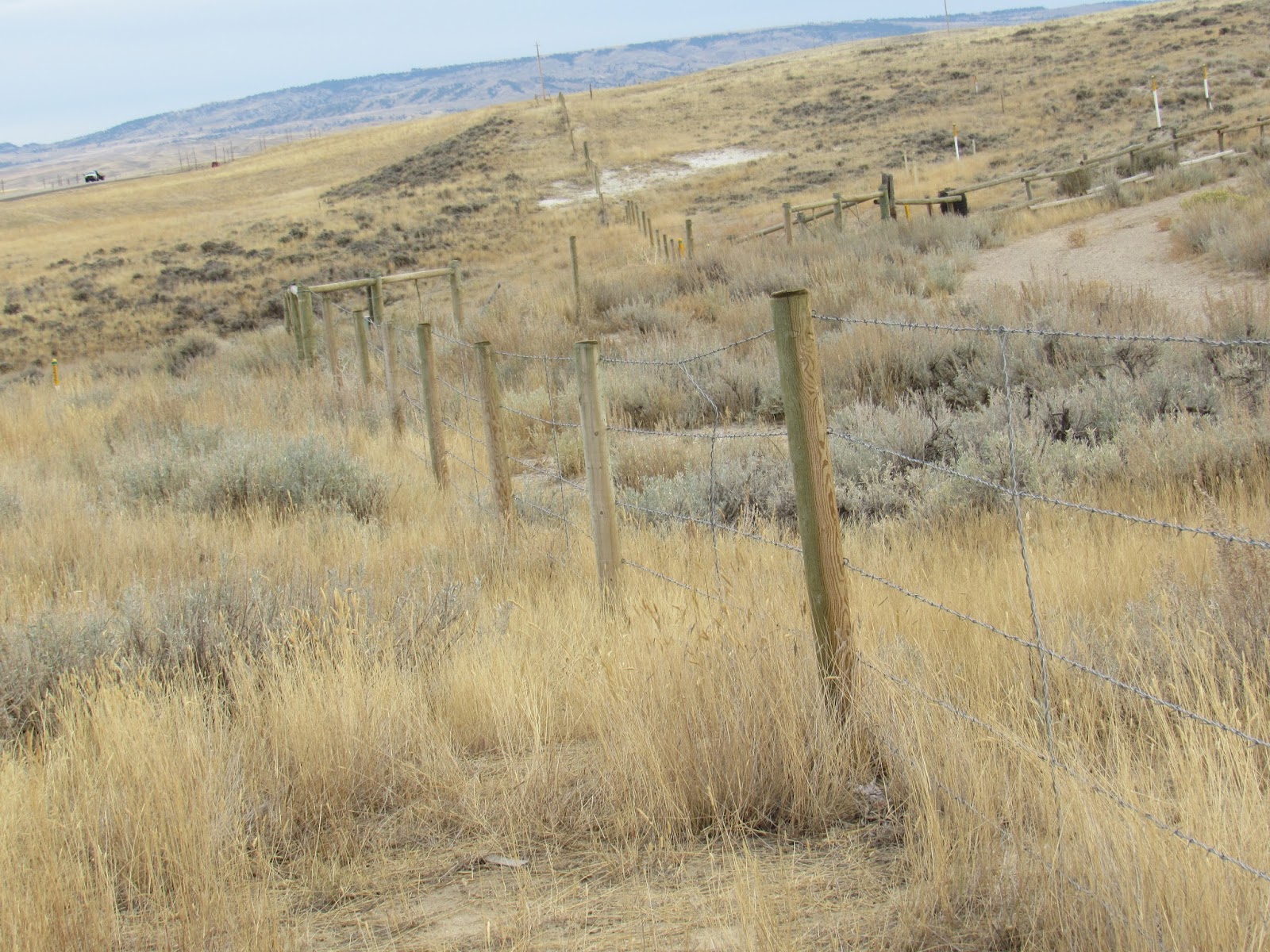 Wyoming Fact & Fiction Neil A. Waring The Jim Bridger Trail
