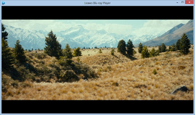 Leawo Blu-ray Player 1.1.0.25 to Watch Blu-ray