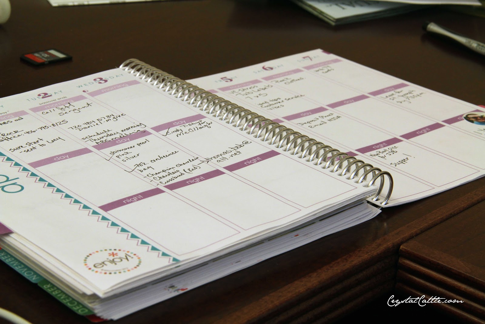 Crystal Cattle Erin Condren Instagram Planner crystal-cattle-erin-condren-instagram-planner