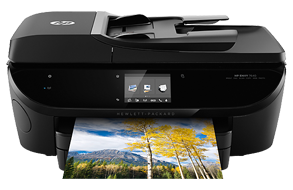 HP Printer Customer Support Number 1-866-316-6909