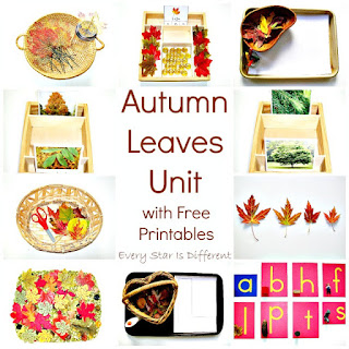 Autumn Leaves Unit with free printables