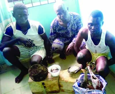 Wicked Herbalist and Alfa Who Cut off a Teenage Girl's Breasts and Heart, Caught in Ogun 
