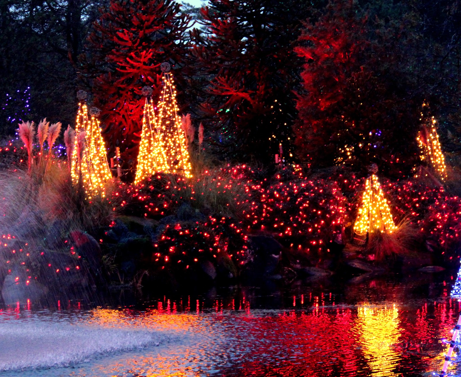 The Murray Chronicles Festival of Lights at VanDusen Garden