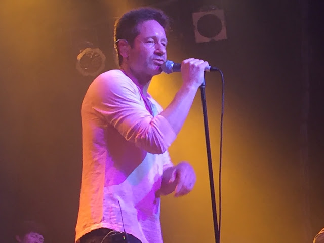 David Duchovny live - Photos