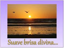 CD Suave Brisa Divina...