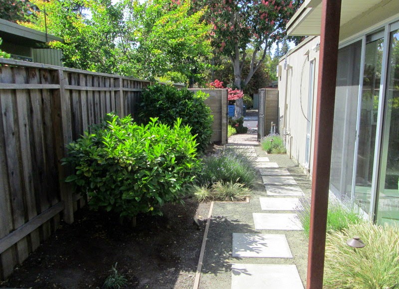 Taproot Garden Design & Fine Gardening: Stewart Family Garden - Palo ...