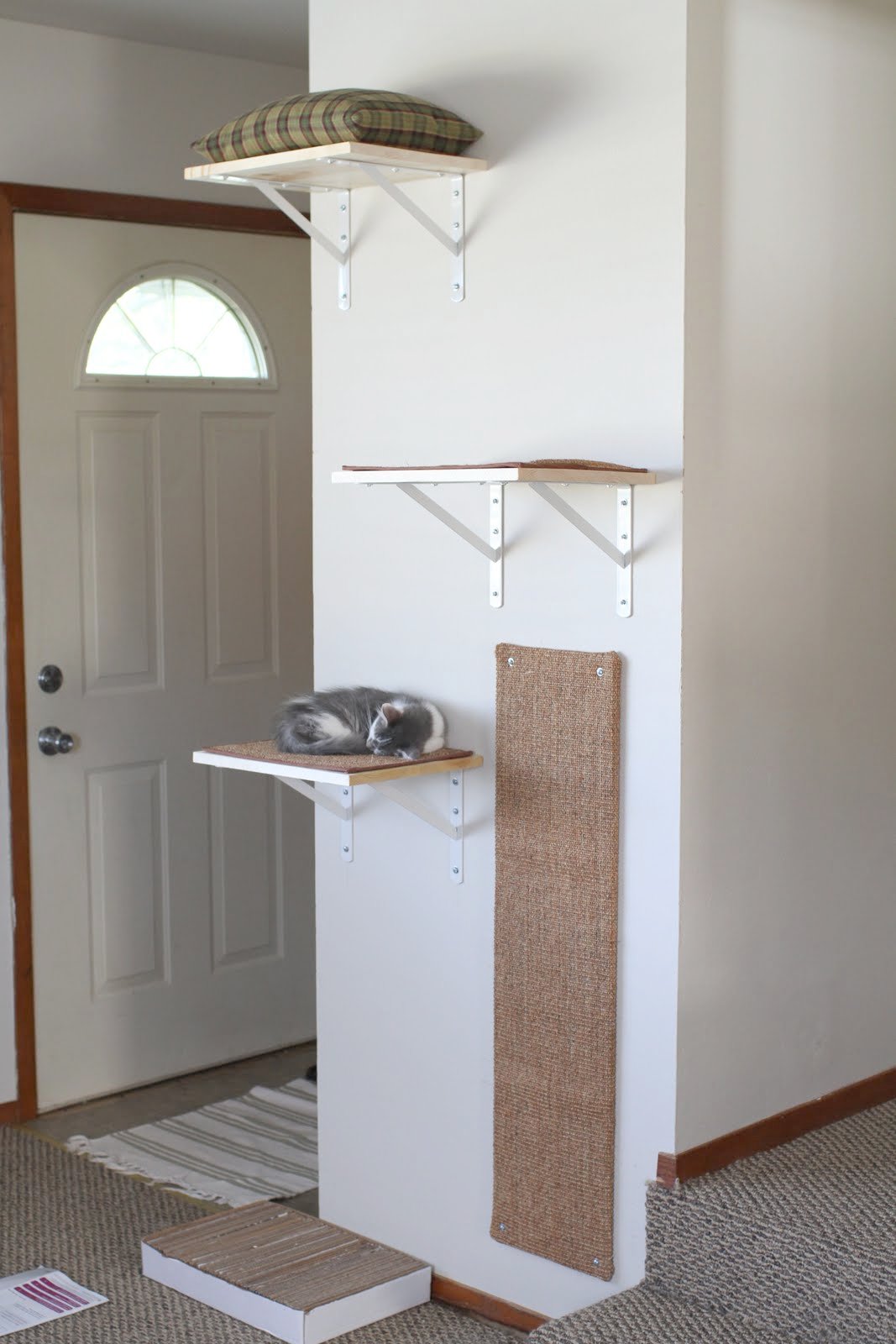 Easy Diy Cat Wall Shelves DIY Floating Cat Shelves — African Cat