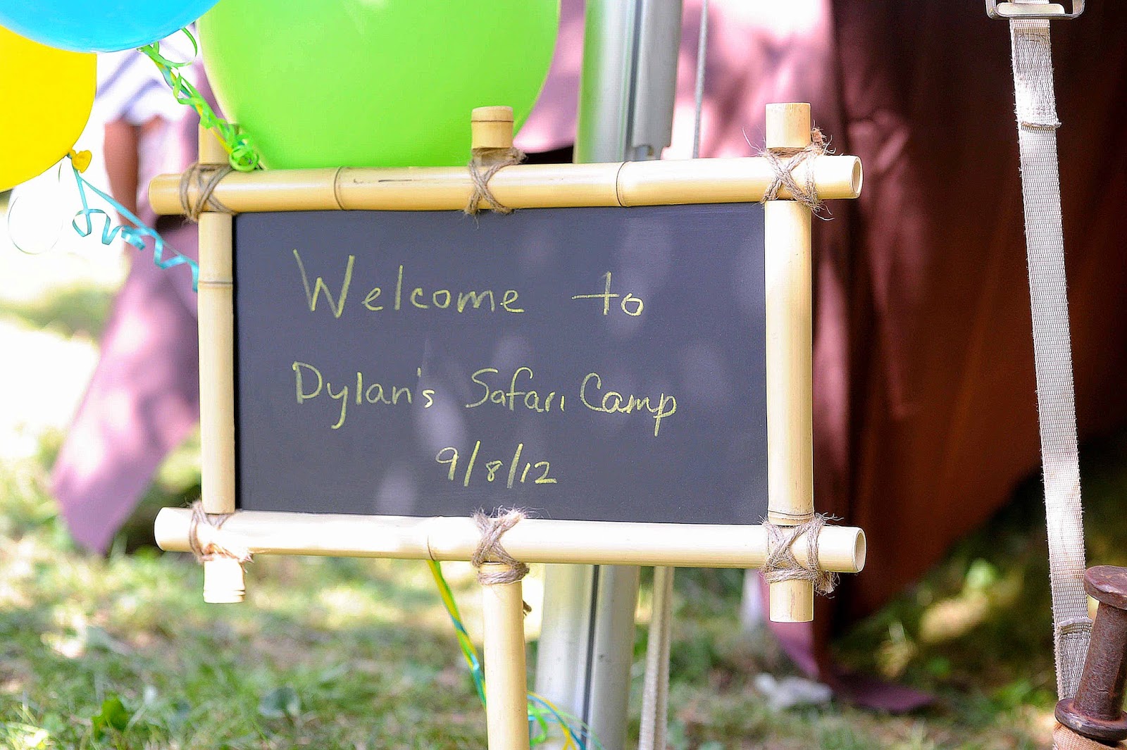 Calling All Wild Animals!