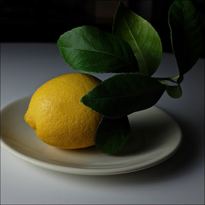 Mayer Lemon: photo by Cliff Hutson