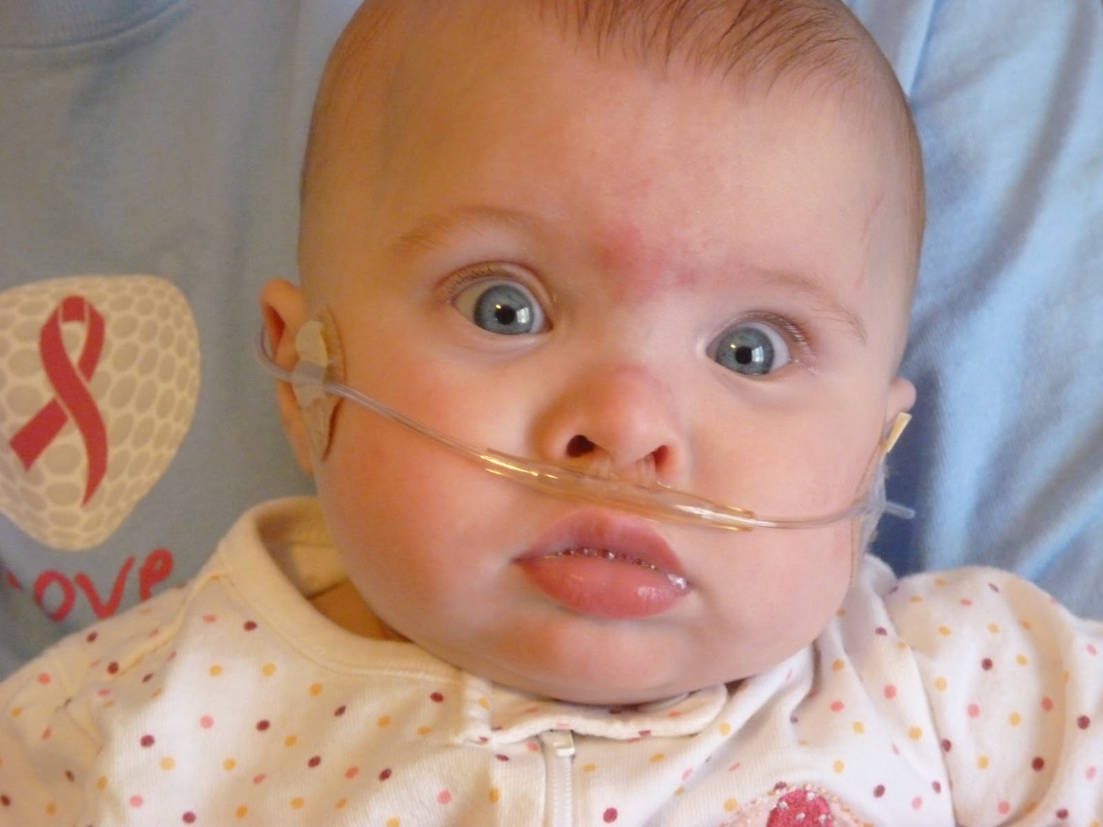 From Two to Five in Nine Months! Ok, 27 Weeks and 3 days... March 2012