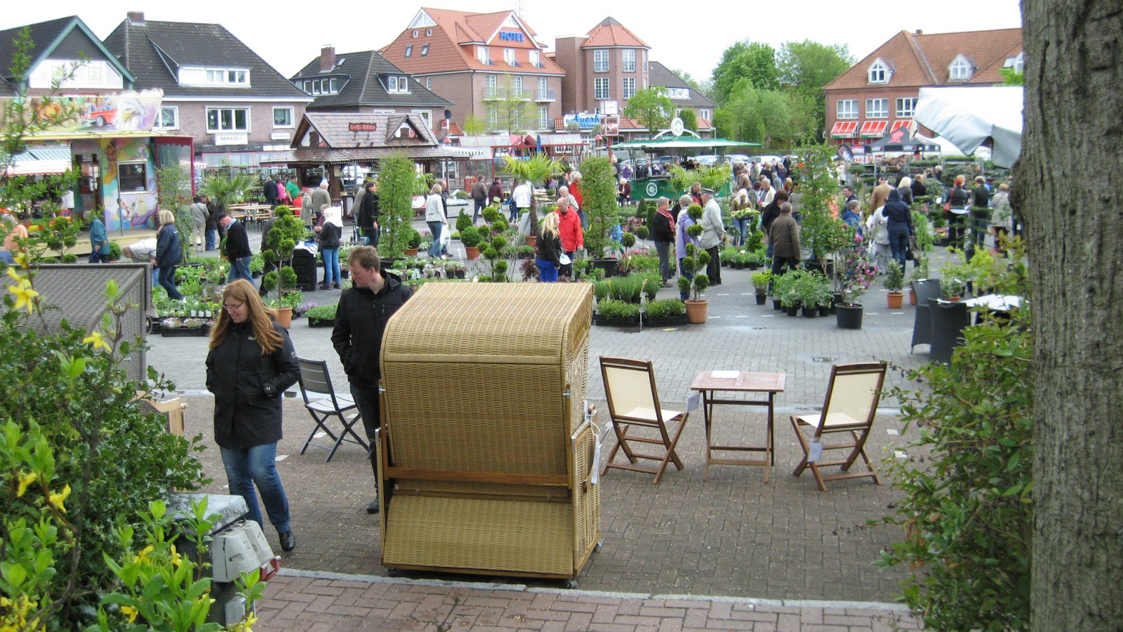 Wiesmoorinfo Blumen und Pflanzenmarkt