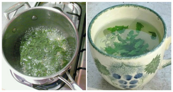 A Miracle Herb: This Woman Was 72 Kg On Thursday, And Went Down To 67 Kg By Saturday
