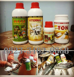 AGEN NASA DI Habinsaran, Toba Samosir - TELF 082334020868 AGEN NASA DI Habinsaran, Toba Samosir - TELF 082334020868