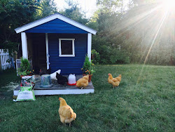 chicken coop plants cutest resistant gardening reader even projects