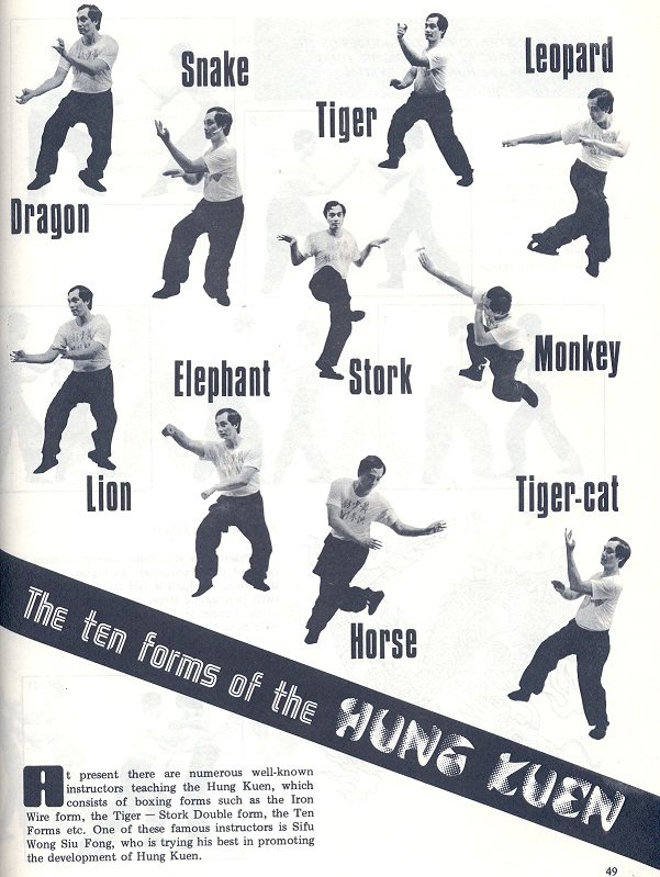 hung gar kung fu pdf