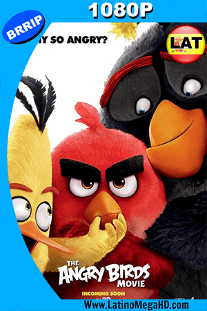 Angry Birds (2016) Latino HD 1080P (2016)