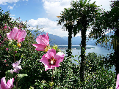 lago maggiore