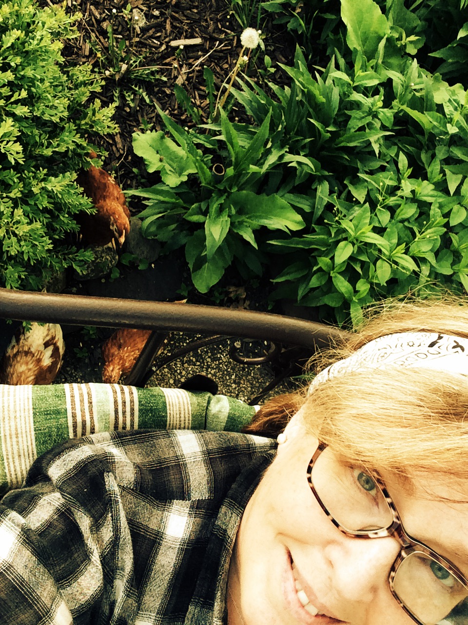 Tales from the Coop Keeper