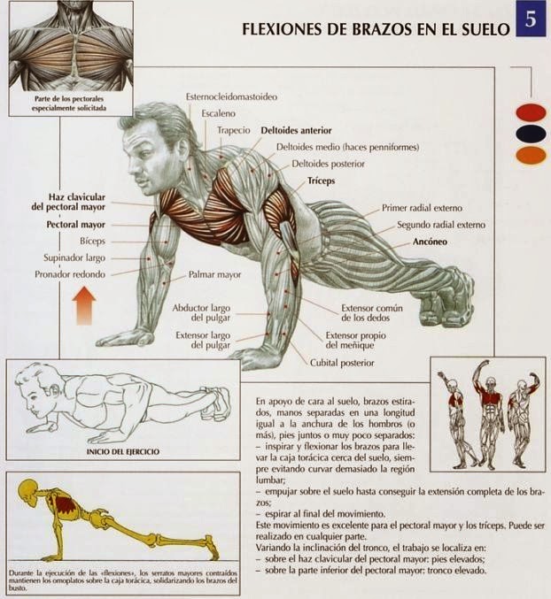 entrenamiento para flojos