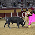 As imagens da novilhada em Beja