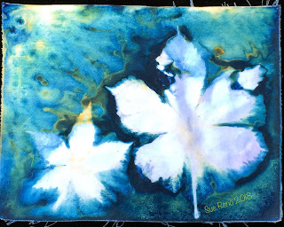 Wet cyanotype_Sue Reno_Image 414