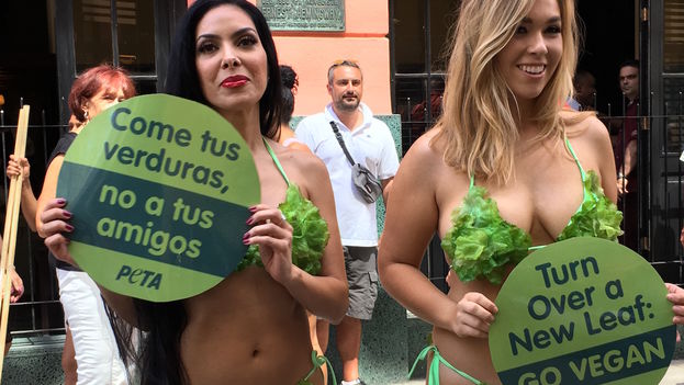 Aktivis Peta Keliling Kuba Mengenakan Bikini Selada