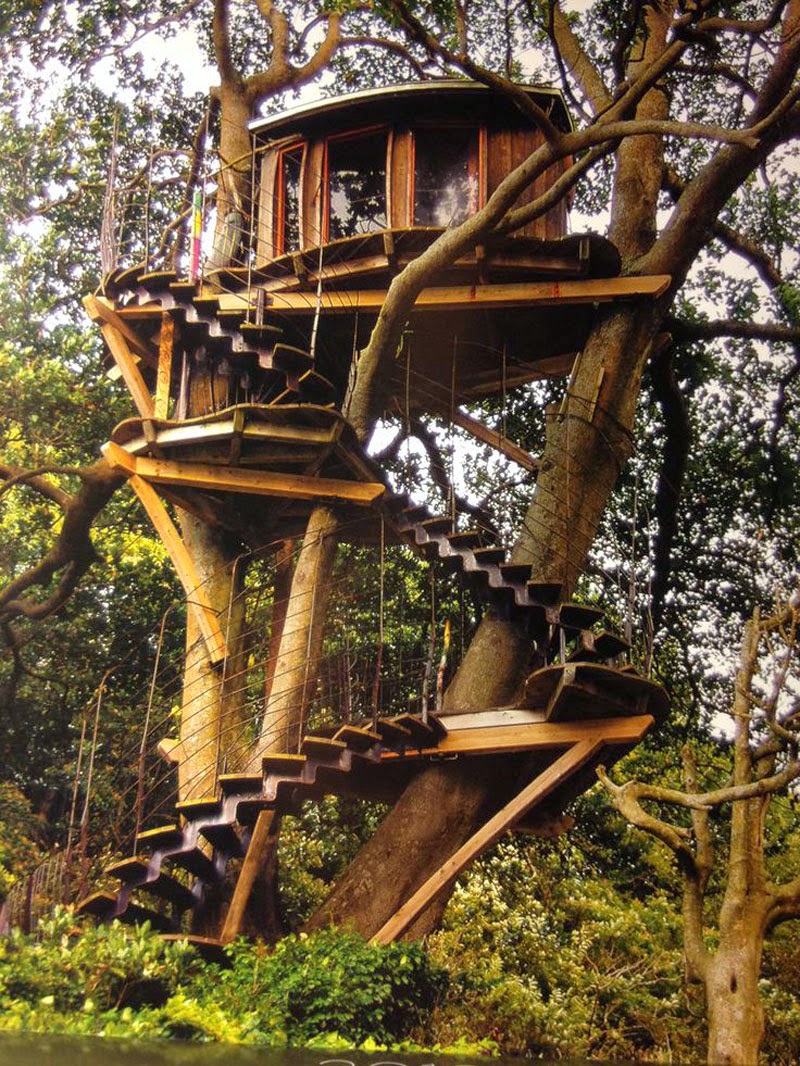 Japan - 10 Of The Wildest Tree House Locations