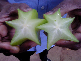 star fruit ranweli spice garden