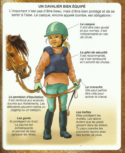 Quel matériel pour débuter l'équitation ?