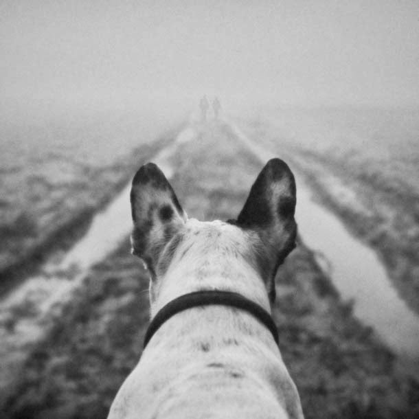 Strange And Surreal World by Dariusz Klimczak