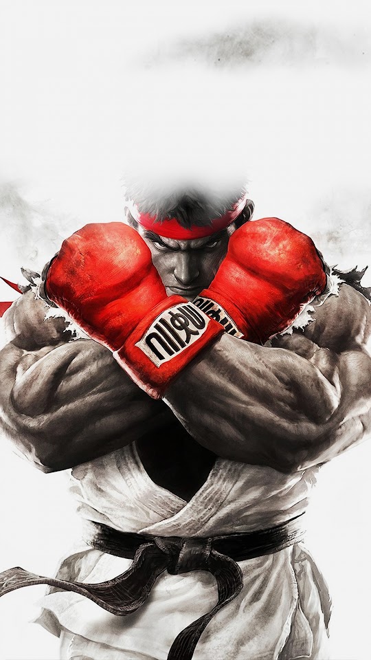 Street Fighter Illustration Game  Galaxy Note HD Wallpaper