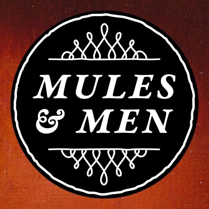 The Bluegrass Ireland Blog Dublin Blues, Roots, & Brass Festival, 17