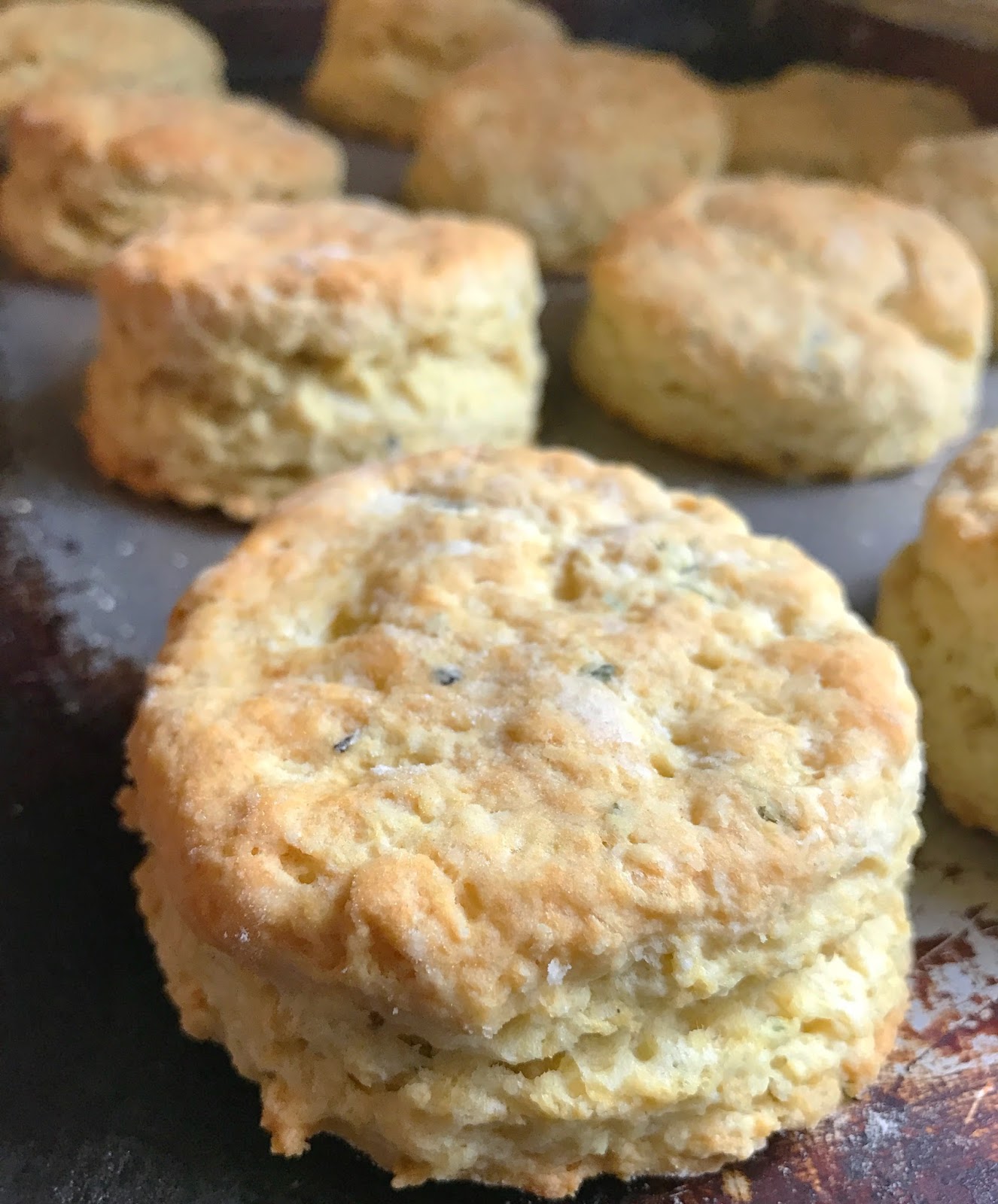 The Comforting Vegan Perfect Homemade Vegan Biscuits