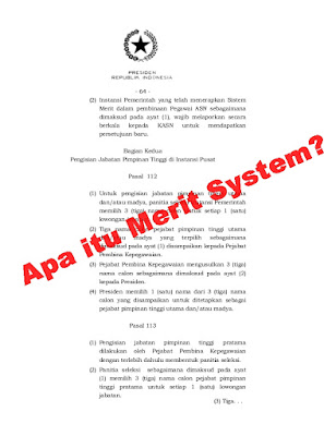 Apa itu Merit System?