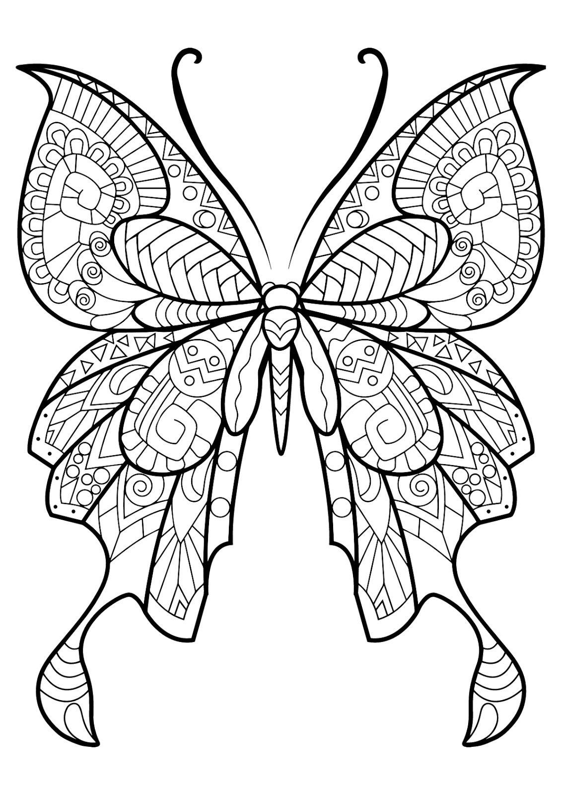Tranh tô màu con bướm chia mảng đẹp