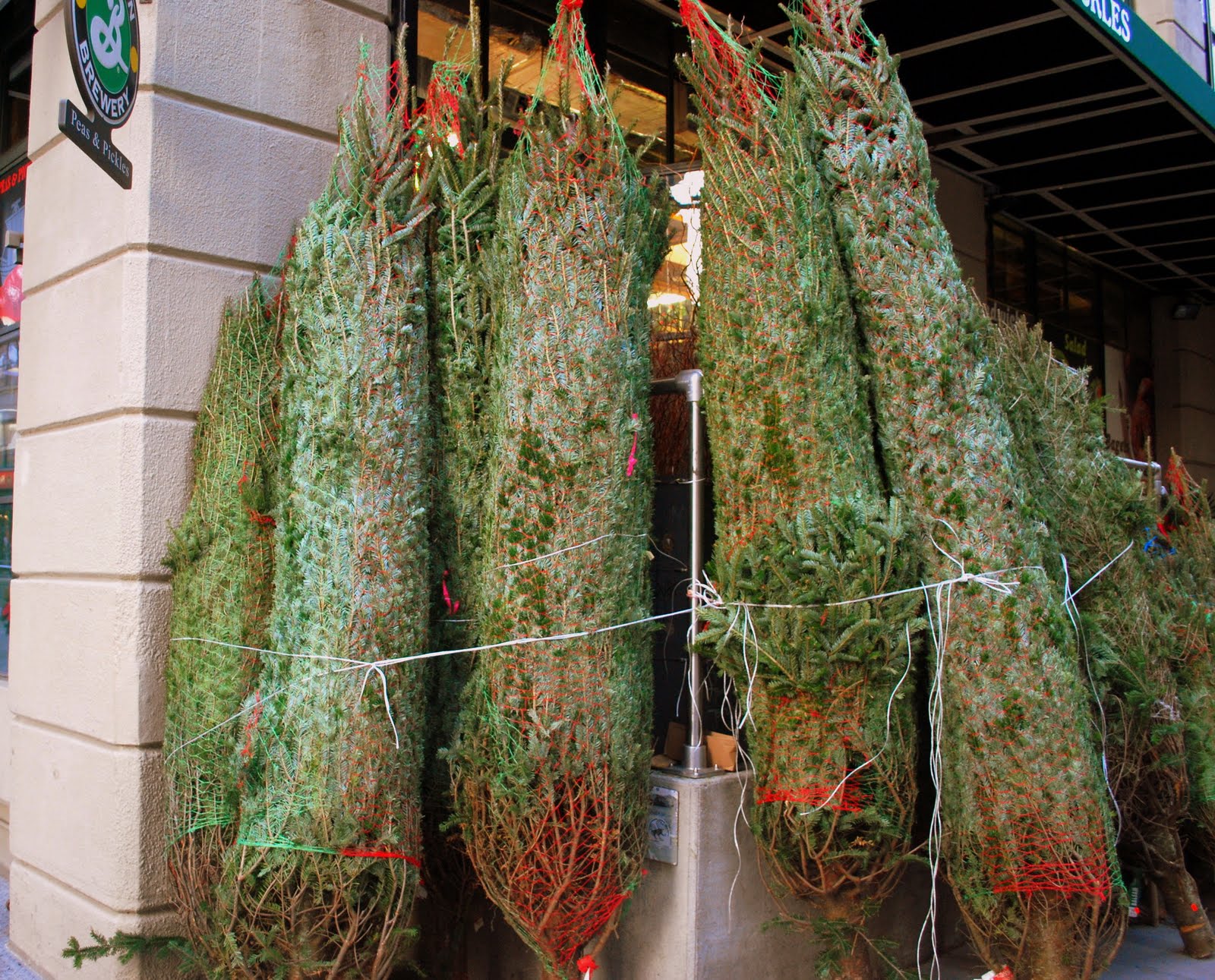 Mille Fiori Favoriti It Smells Like Christmas!