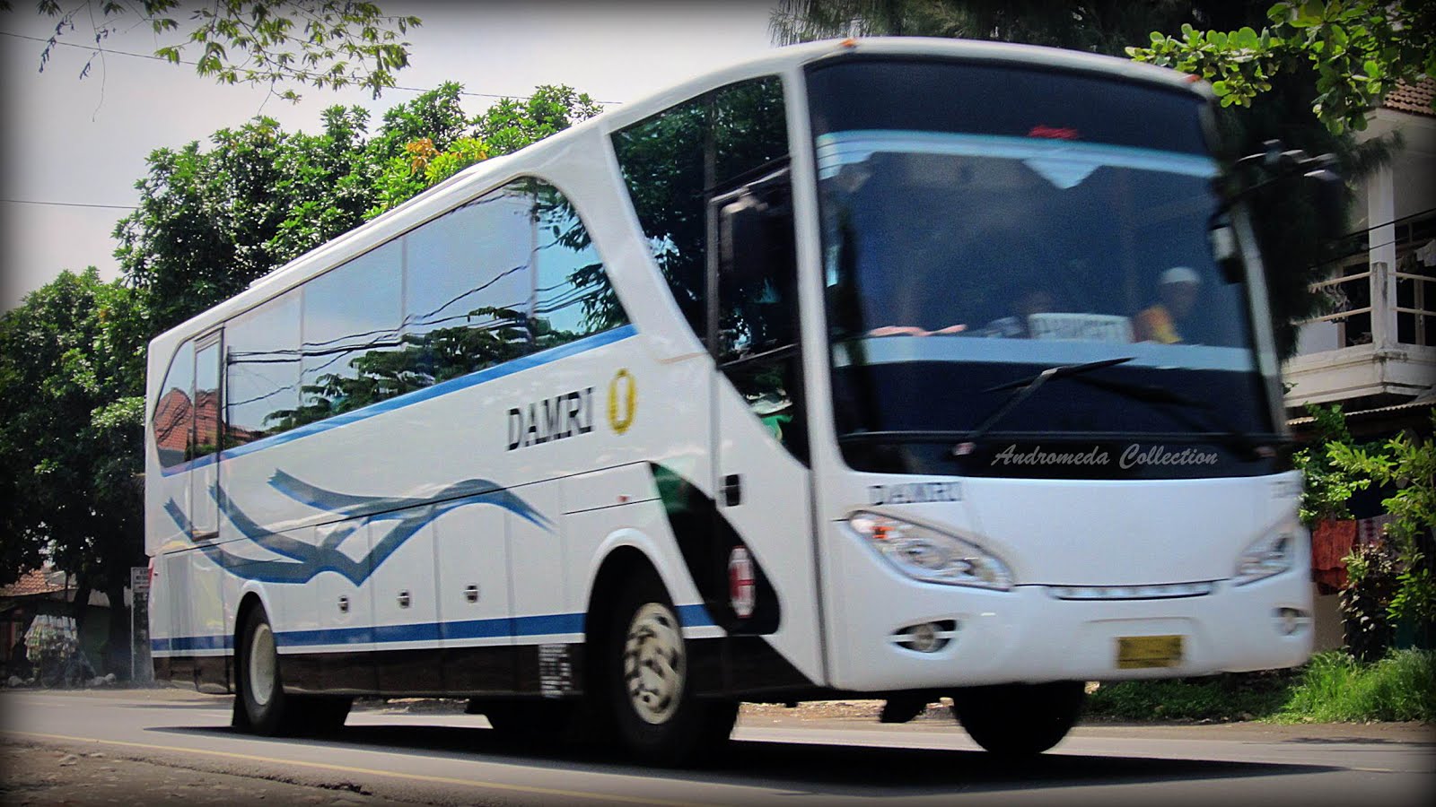 travel bus kota