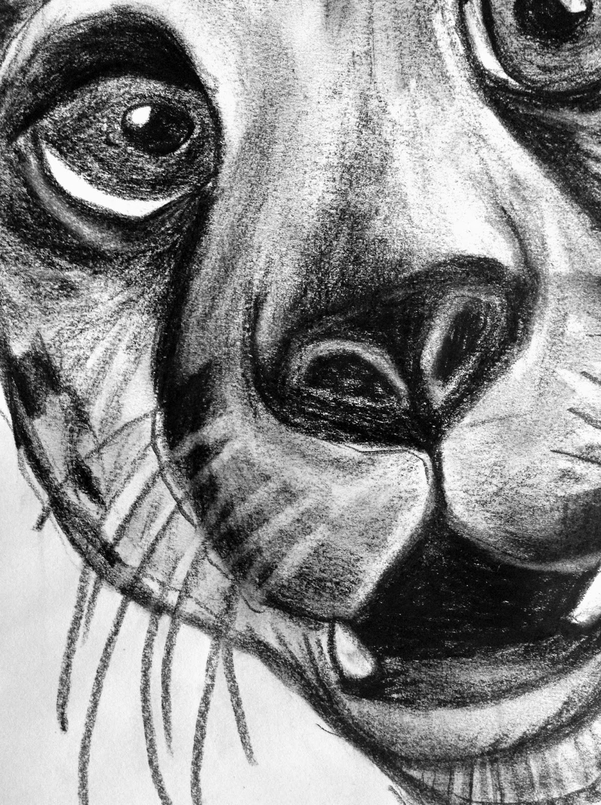 One Point Perspective Charcoal Distorted Animals Drawing nature and landscapes : one point perspective charcoal