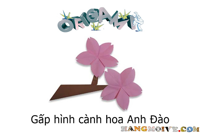 Gấp xếp hình bông hoa anh đào bằng giấy origami Gấp xếp hình bông hoa anh đào bằng giấy origami