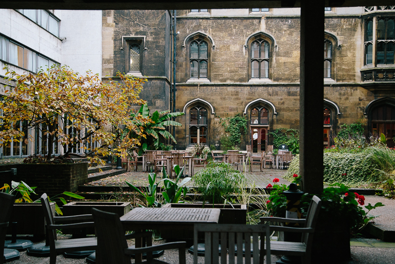 cambridge university autumn leaves