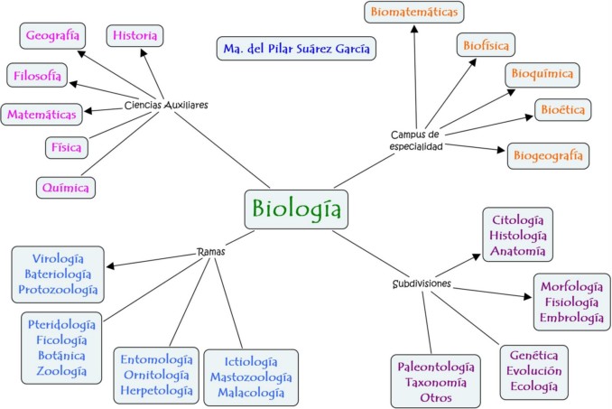 Mapa conceptual biología.