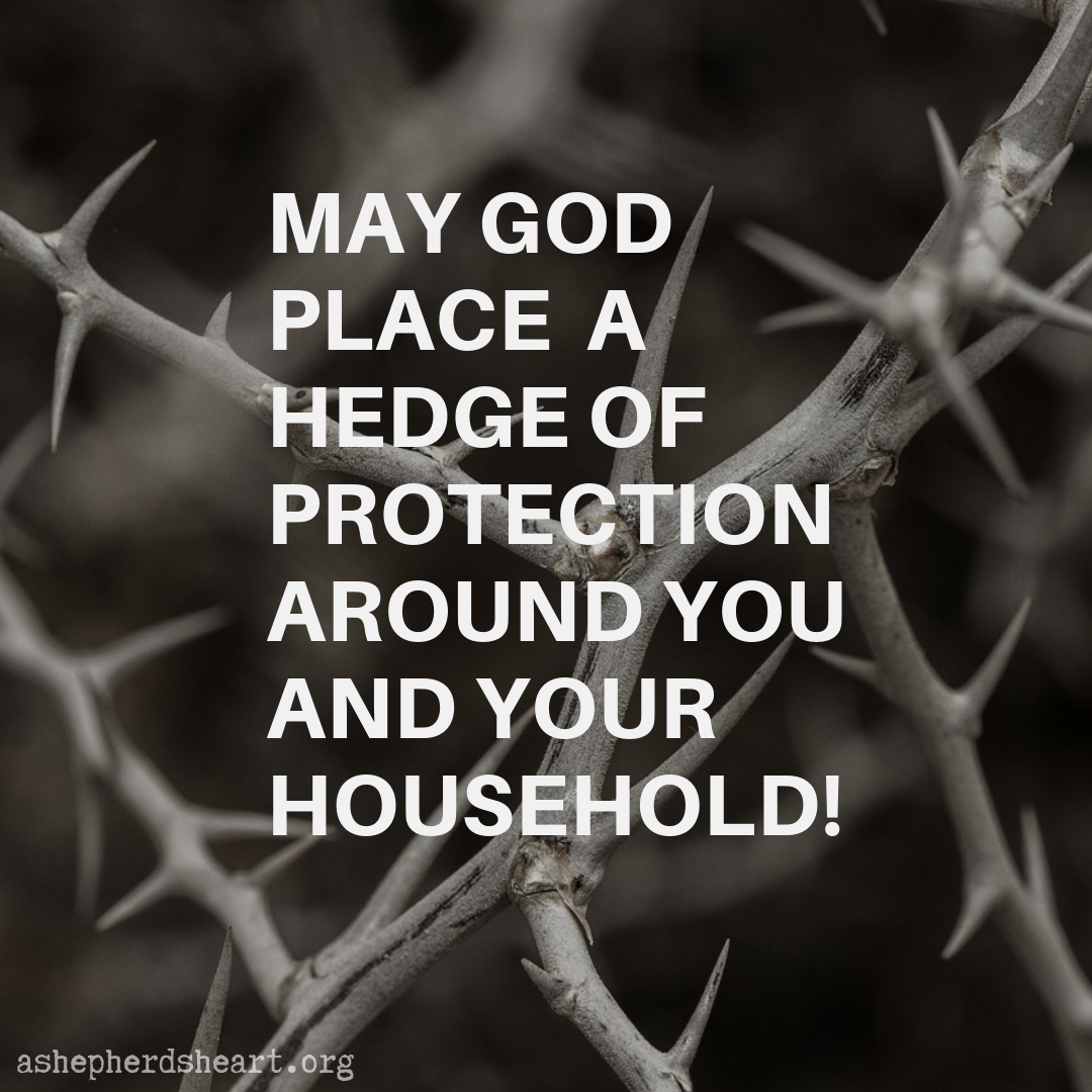 A Shepherd S Heart God S Protection Over You