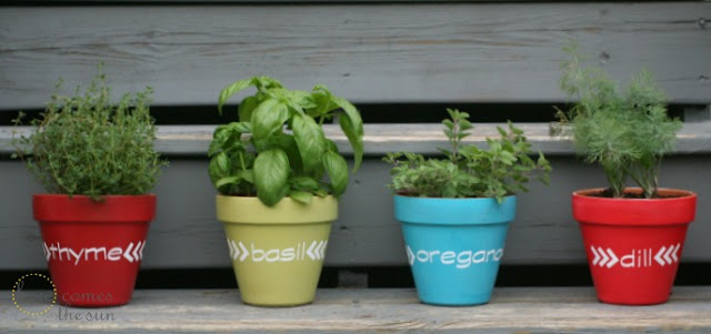 Here Comes the Sun: Herb Garden Pot Markers using Vinyl