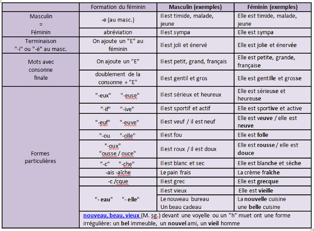 http://2.bp.blogspot.com/-FXX0GV271z4/TnugOj6ThRI/AAAAAAAAATI/8OrpcWm_Mbo/s1600/adjectifs.jpg Rodzaj żeński przymiotników - gramatyka 7 tabela - Francuski przy kawie